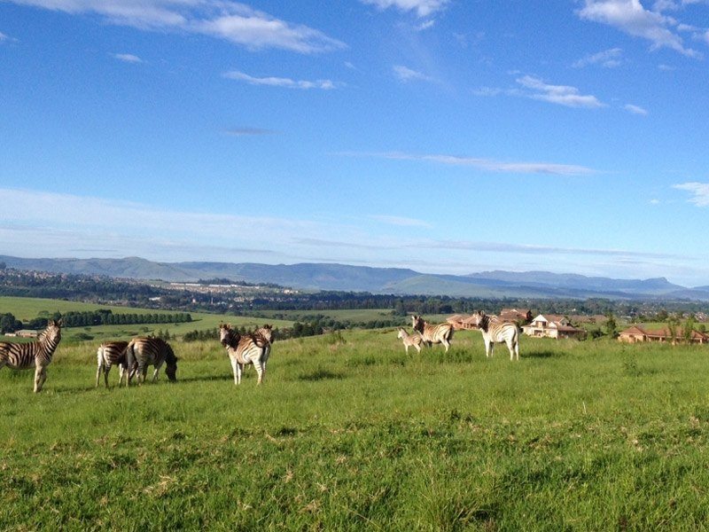 Midlands Meander